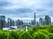 中指研究院最新调查：过半人一年内不买房，储蓄意愿飙升，钱都去哪了？